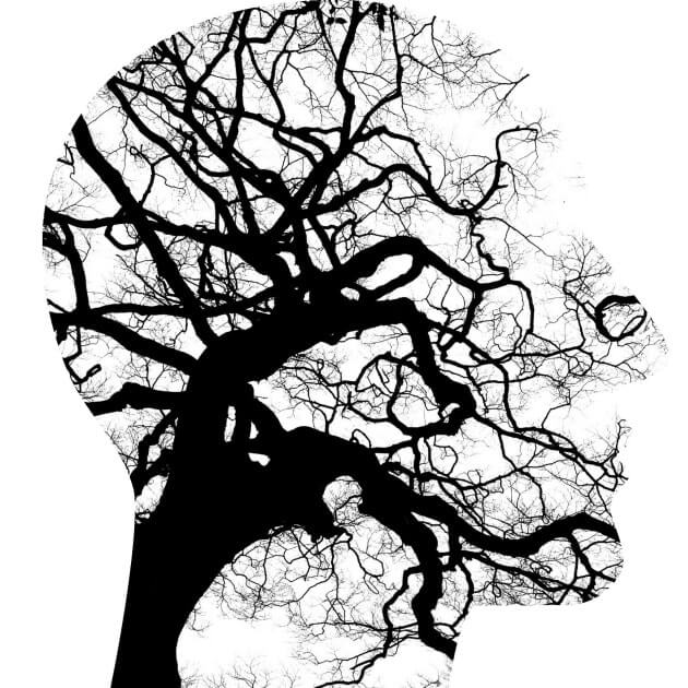 brain. why businesses fail - reasons and solutions - planning