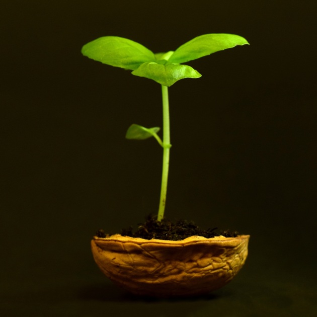 person jumping. meaning and qualities of entrepreneur - failure