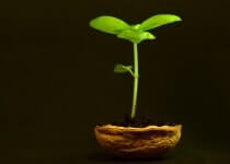 meaning and qualities of entrepreneur - failure
